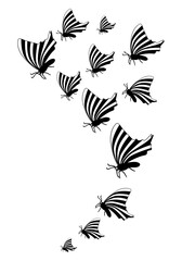 Butterfly silhouette. Clipart vector isolated on white background