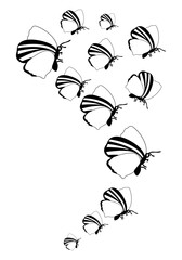 Butterfly silhouette. Clipart vector isolated on white background
