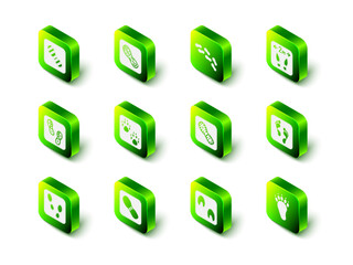 Set Human footprints shoes, Safe distance, Bear paw, Horse and icon. Vector