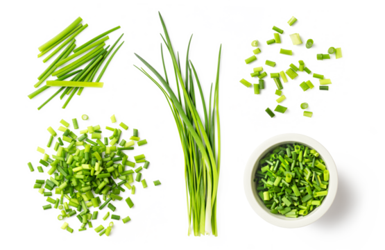 fresh green herbs: chives, collection of isolated herbal food design element, bunch of whole chive blades, chopped sprinkled ones, loose, in a heap and a small bowl, healthy nutrition or garden set