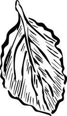 create your salad  vegetables ink element