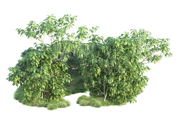 Obraz premium Green landscape isolated on transparent background. 3d rendering - illustration