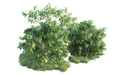 Obraz premium Green landscape isolated on transparent background. 3d rendering - illustration
