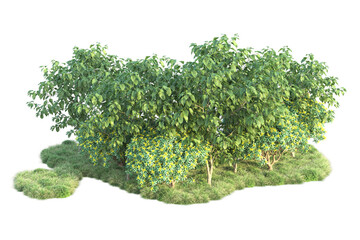 Green landscape isolated on transparent background. 3d rendering - illustration