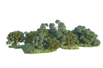 Green landscape isolated on transparent background. 3d rendering - illustration