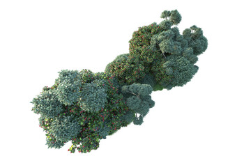 Green landscape isolated on transparent background. 3d rendering - illustration