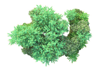 Obraz premium Green landscape isolated on transparent background. 3d rendering - illustration