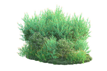 Green landscape isolated on transparent background. 3d rendering - illustration