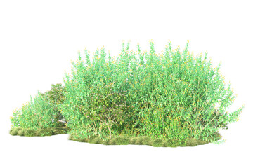 Green landscape isolated on transparent background. 3d rendering - illustration