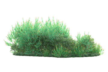 Green landscape isolated on transparent background. 3d rendering - illustration