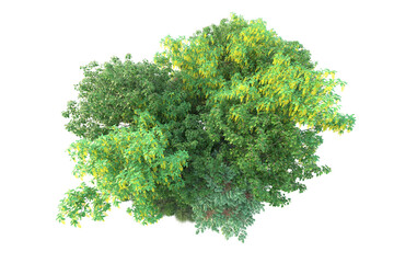 Green landscape isolated on transparent background. 3d rendering - illustration