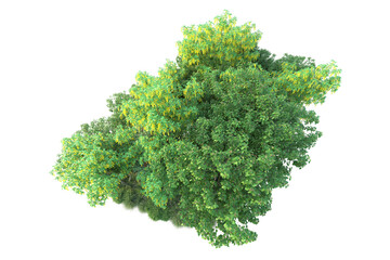 Obraz premium Green landscape isolated on transparent background. 3d rendering - illustration