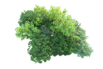 Obraz premium Green landscape isolated on transparent background. 3d rendering - illustration