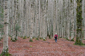 Woman in the autumn forest