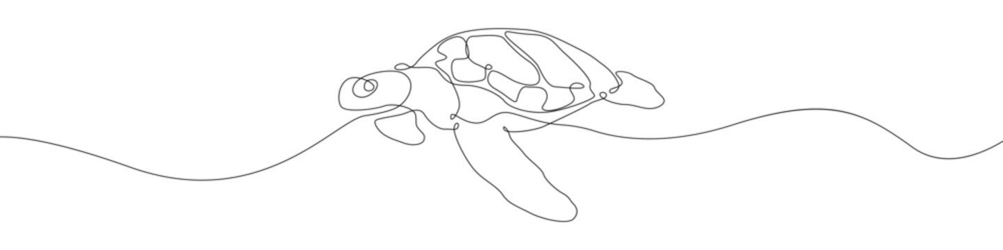 Turtle icon line continuous drawing vector. One line Sea turtle reptile icon vector background. freshwater turtle icon. Continuous outline of a Cartoon turtle icon.