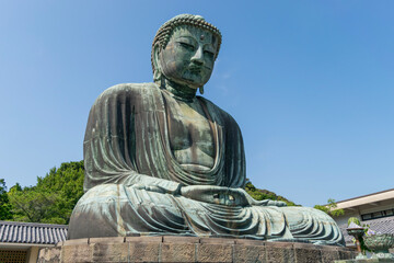 Obraz premium Kamakura buddha statue 