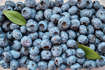Background of fresh large blueberries with leaves. Blueberry texture top view.