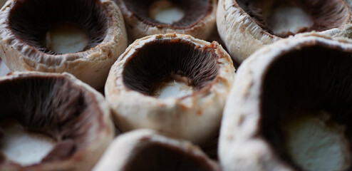 Close up mushroom background.