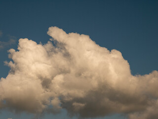 Single fluffy cloud over sunset sky background. Fluffy cumulus cloud shape photo