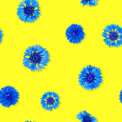 Seamless pattern of blue cornflower flowers on yellow background, ukrainian flag colors