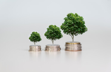 Money growth concept, Business success concept, Trees growing on a pile of coins on a light...