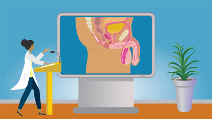 Woman in lecture about the mens reproduction system and penis. Gesturing and standing in front of big modern screen for education. Dimension 16:9. Vector illustration.