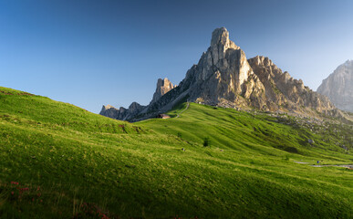 Obraz premium Beautiful green alpine meadow with mountains or mountain peak in the background, Passo Giau or Giau Pass, Dolomites, Italy 