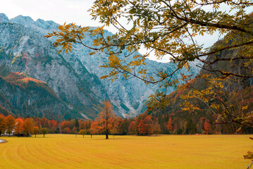 Logar valley or Logarska dolina in the Alps of Slovenia in autumn © Viktoriya