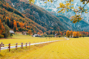 Logar valley or Logarska dolina in the Alps of Slovenia in autumn © Viktoriya