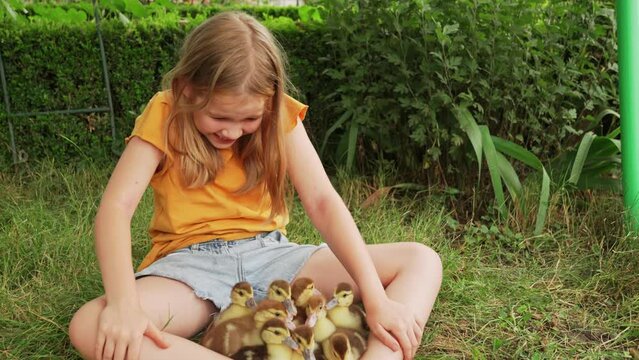 Cute teenage girl with ducklings on the lawn. 