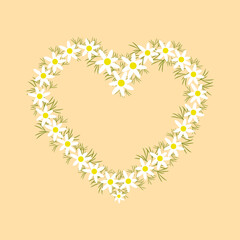 Coraz&oacute;n de manzanilla