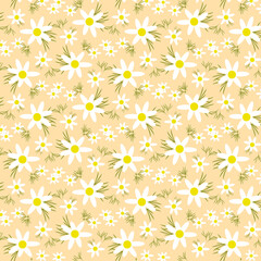 Patr&oacute;n de manzanilla