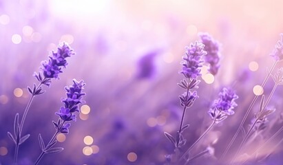 Obraz na płótnie Canvas Lavender flowers natural background