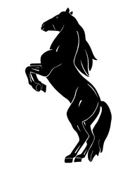 Horse cartoon or silhouette on transparent transparent background

