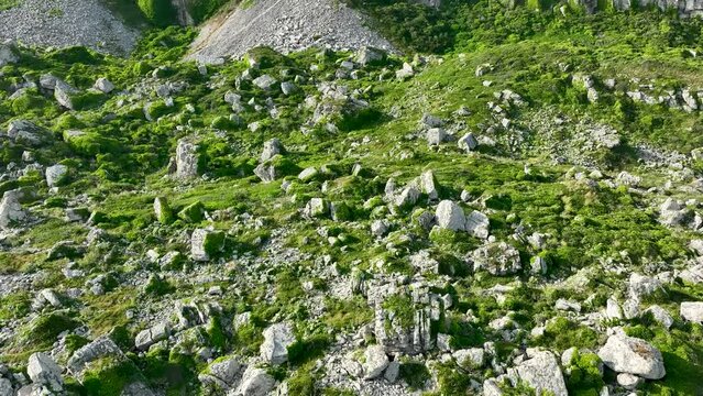 Valley of stones. Atlantic Ocean beach. England, Dorset. Cinematic drone flight
