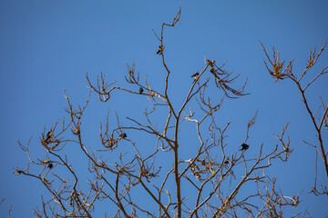 Beautiful natural landscape with idyllic scenery for background.