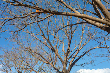 Beautiful natural landscape with idyllic scenery for background.