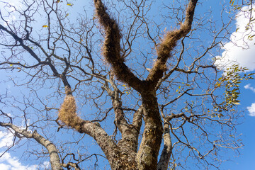 Beautiful natural landscape with idyllic scenery for background.