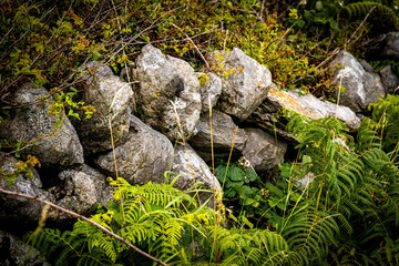 Traditional Irish stone walls celtic culture buildings