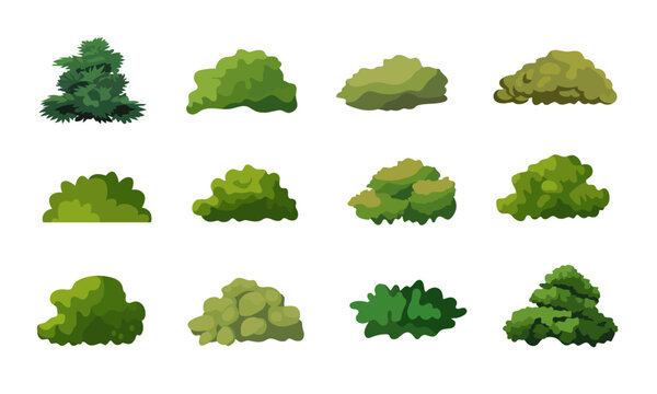 Bush vector illustration set, collection of bush cartoon flat design