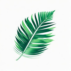 Vector style palm leaf illustration and white background. Generative AI