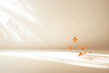 abstract scene with leaves and shadows on the wall, 3d render