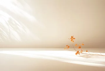 Fototapeten abstract scene with leaves and shadows on the wall, 3d render © Gorilla Studio