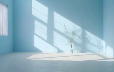 Empty room with window and plant