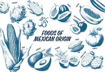 Collection of drawn foods of mexican origin. Sketch illustration. Pitahaya, papaya, mamey, sapote, cocoa, tomato, prickly pear, guayaba, avocado, avocado, corn, mamey