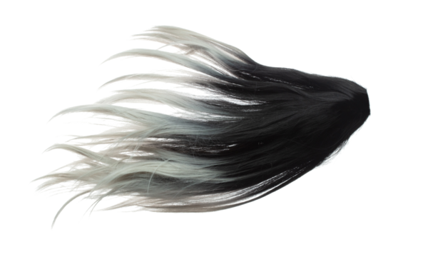 Two tone Wig hair style fly fall explosion. White Black woman wig hair float in mid air. Two tone wig hair extension wind blow cloud throw. White background isolated high speed freeze motion