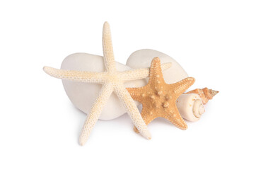 Beautiful sea stars, shells and stones isolated on white