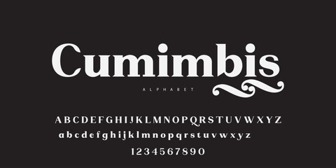 Modern serif alphabet letters font for cafe wedding display headli. Typography elegant classic lettering serif fonts and number decorative vintage retro concept for logo branding. vector illustration 