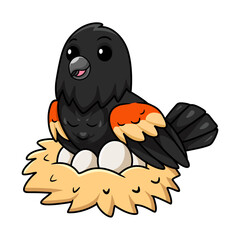 Cute red winged black bird cartoon with eggs in the nest