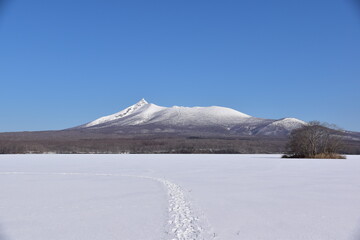 早春の駒ケ岳と凍った大沼